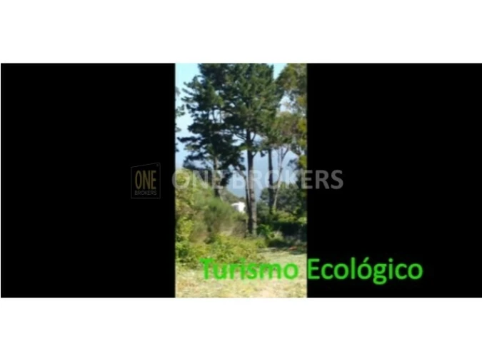 Terreno para Venda em Colares Foto 8