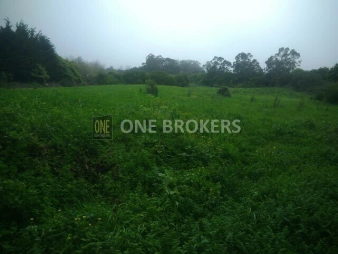 Terreno para Venda em Colares Foto 3