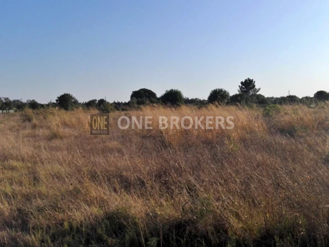 Terreno para Venda em Glória do Ribatejo e Granho Foto 10