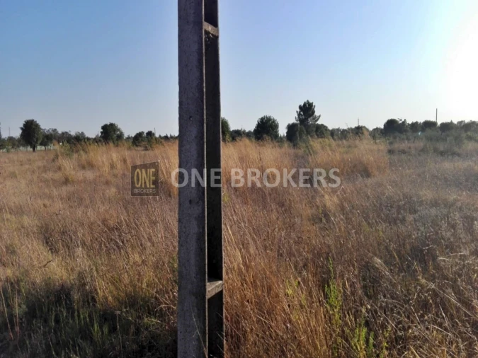 Terreno para Venda em Glória do Ribatejo e Granho Foto 8