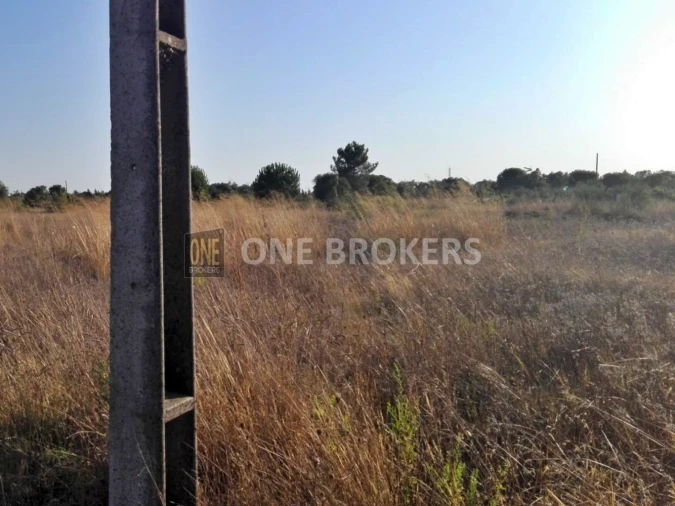 Terreno para Venda em Glória do Ribatejo e Granho Foto 7