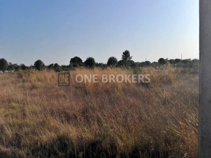 Terreno para Venda em Glória do Ribatejo e Granho Foto 9