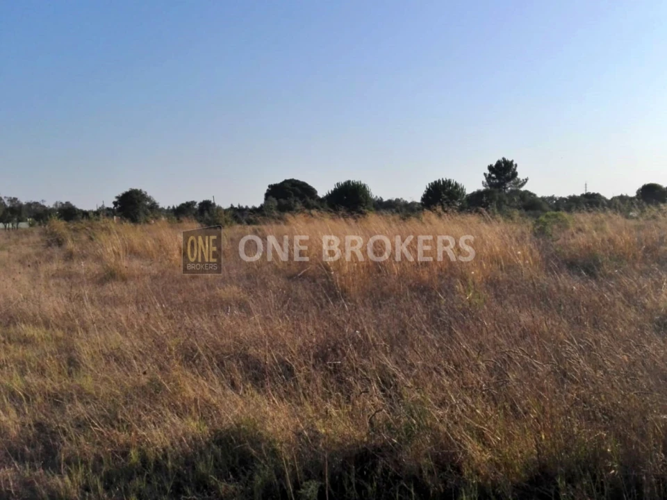 Terreno para Venda em Glória do Ribatejo e Granho Foto 10