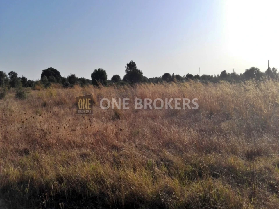 Terreno para Venda em Glória do Ribatejo e Granho Foto 1
