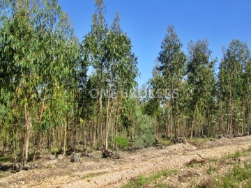 Terreno para Venda em Marinhais