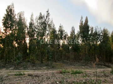 Terreno para Venda em Marinhais