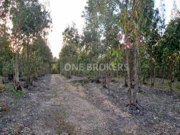 Terreno para Venda em Marinhais