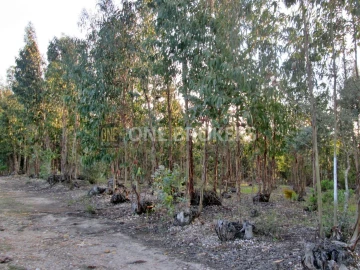 Terreno para Venda em Marinhais