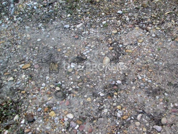 Terreno para Venda em Marinhais