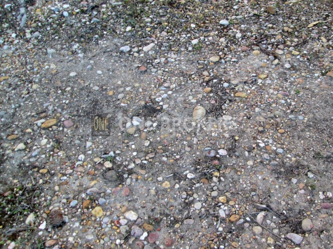 Terreno para Venda em Marinhais Foto 12