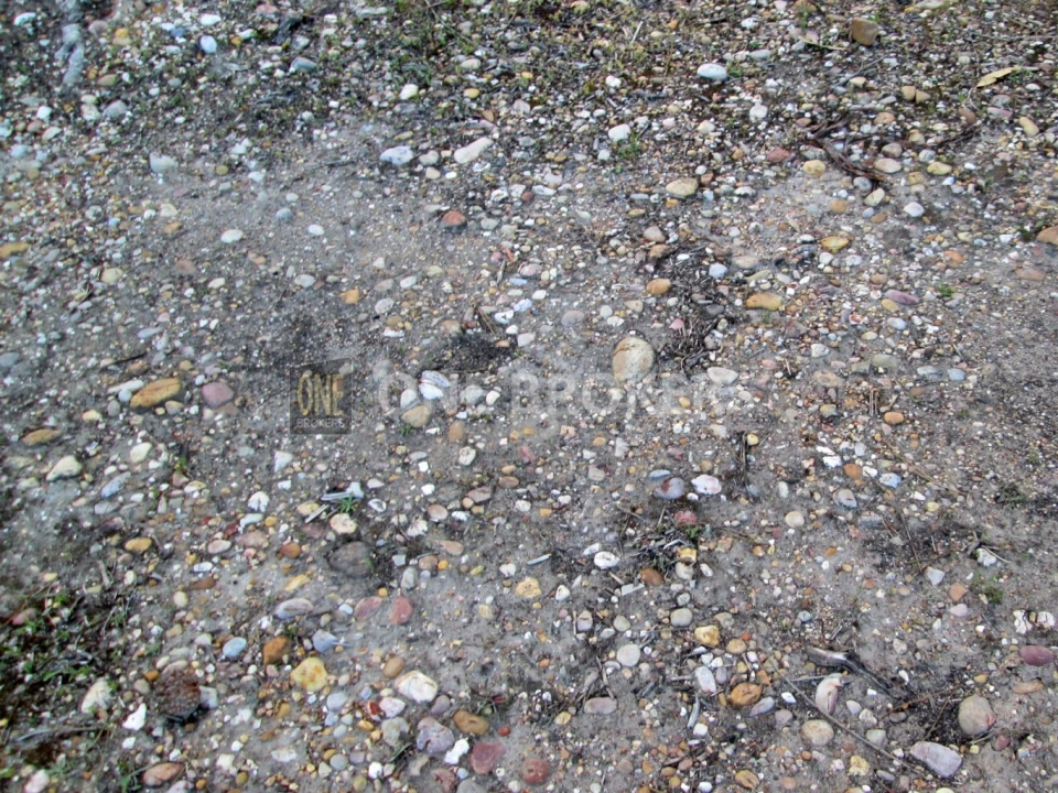 Terreno para Venda em Marinhais Foto 12