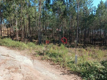 Terreno para Venda em Leiria, Pousos, Barreira e Cortes