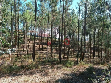 Terreno para Venda em Leiria, Pousos, Barreira e Cortes