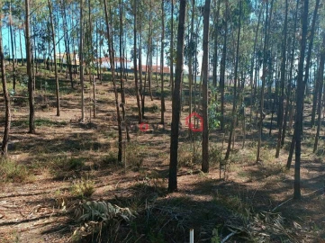 Terreno para Venda em Leiria, Pousos, Barreira e Cortes
