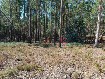 Terreno para Venda em Leiria, Pousos, Barreira e Cortes