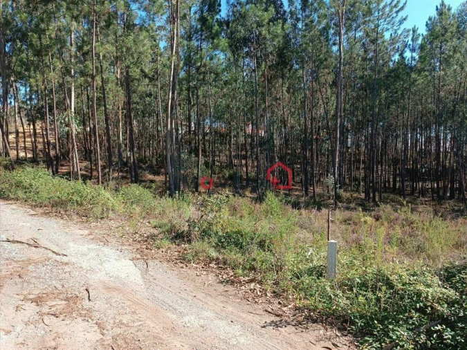 Terreno para Venda em Leiria, Pousos, Barreira e Cortes Foto 5