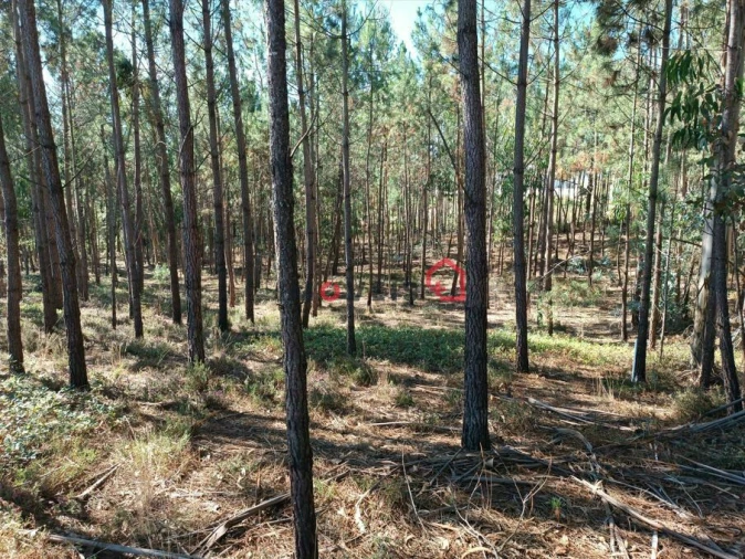 Terreno para Venda em Leiria, Pousos, Barreira e Cortes Foto 11
