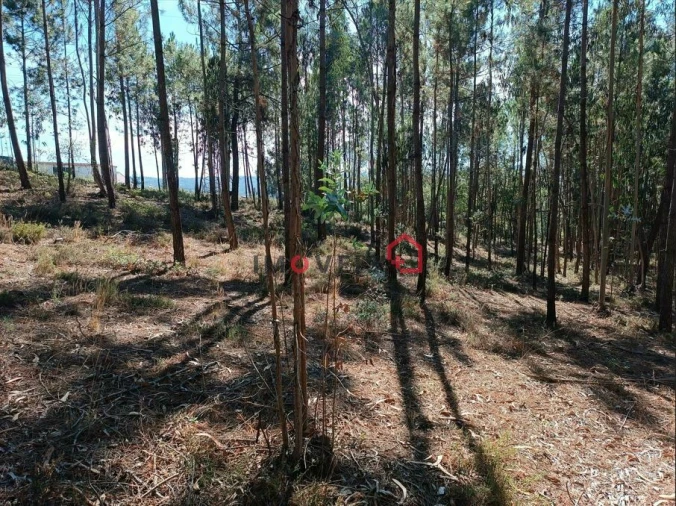 Terreno para Venda em Leiria, Pousos, Barreira e Cortes Foto 12
