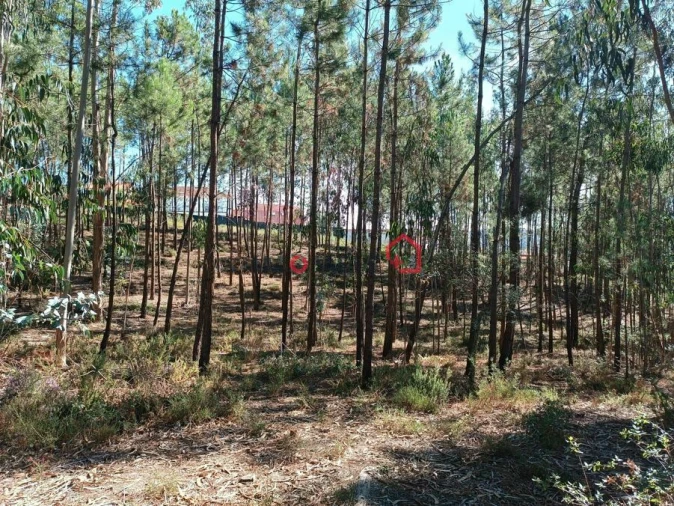 Terreno para Venda em Leiria, Pousos, Barreira e Cortes Foto 6