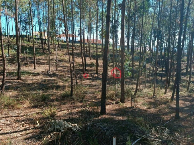 Terreno para Venda em Leiria, Pousos, Barreira e Cortes Foto 14