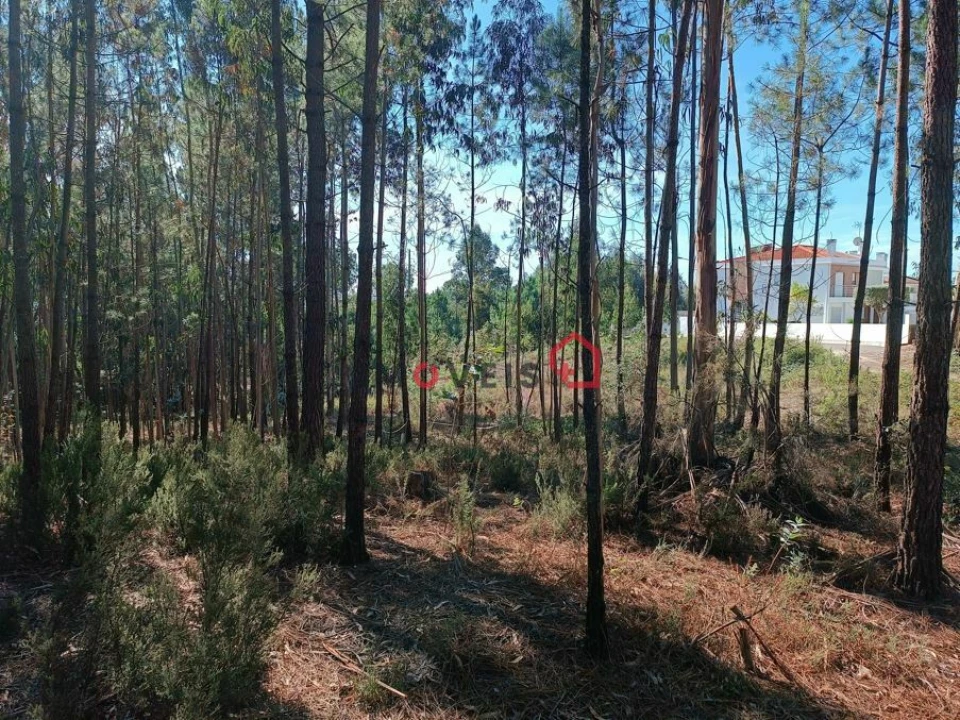 Terreno para Venda em Leiria, Pousos, Barreira e Cortes Foto 7