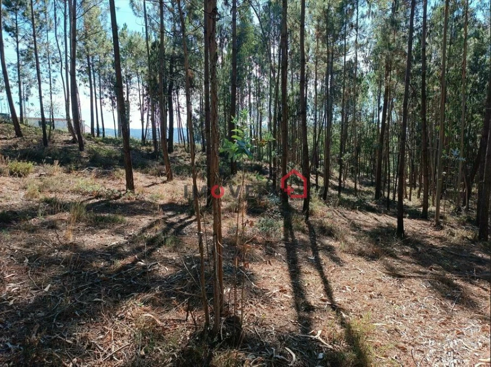 Terreno para Venda em Leiria, Pousos, Barreira e Cortes Foto 12
