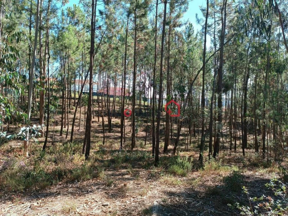 Terreno para Venda em Leiria, Pousos, Barreira e Cortes Foto 6