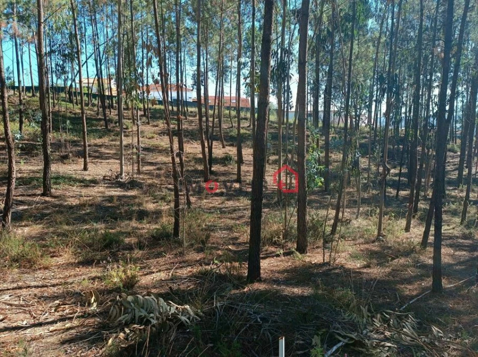 Terreno para Venda em Leiria, Pousos, Barreira e Cortes Foto 14