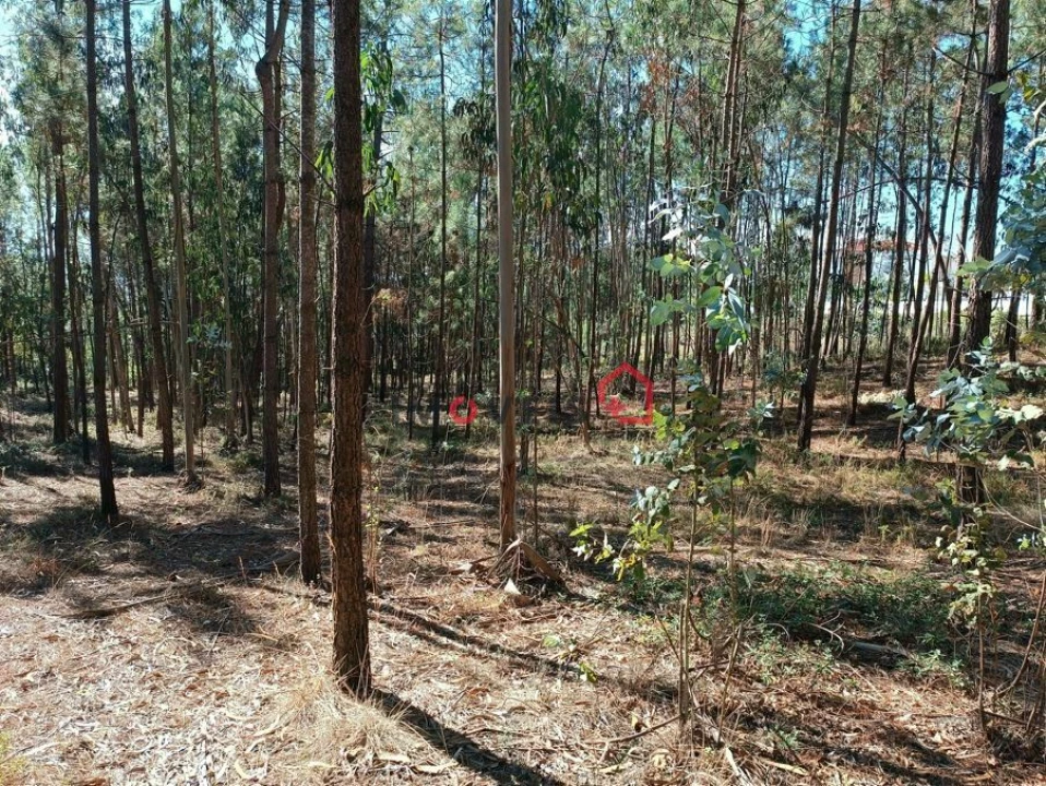 Terreno para Venda em Leiria, Pousos, Barreira e Cortes Foto 13