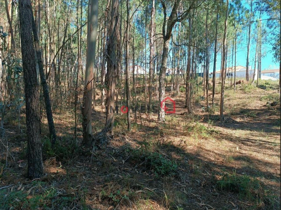 Terreno para Venda em Leiria, Pousos, Barreira e Cortes Foto 9