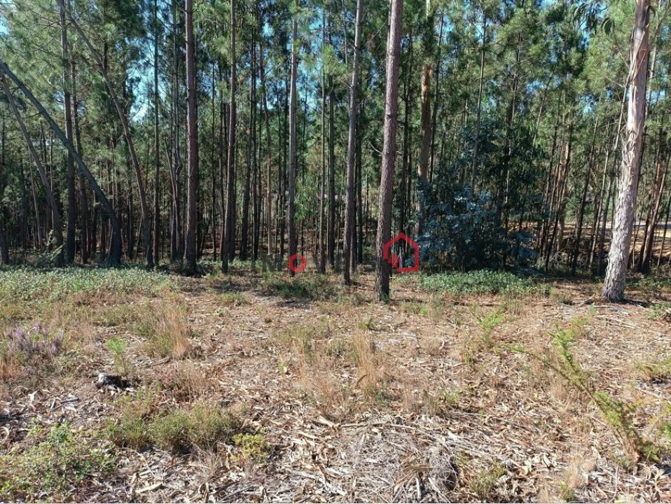 Terreno para Venda em Leiria, Pousos, Barreira e Cortes Foto 10