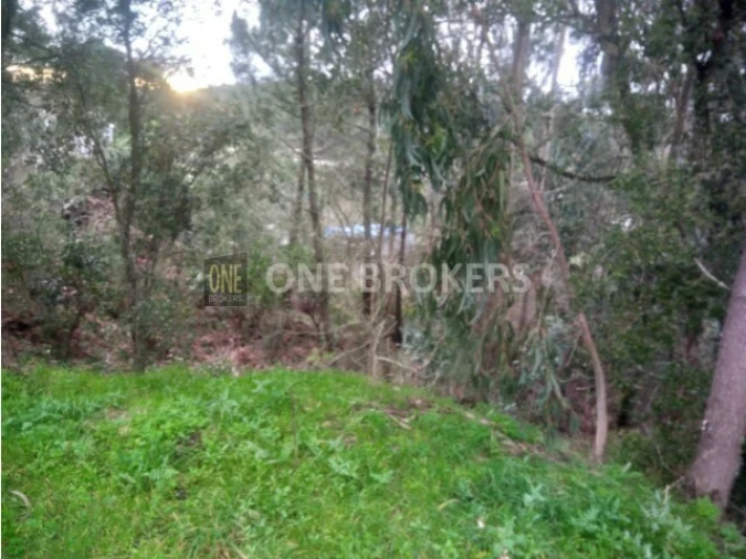 Terreno para Venda em Almargem do Bispo, Pêro Pinheiro e Montelavar Foto 13