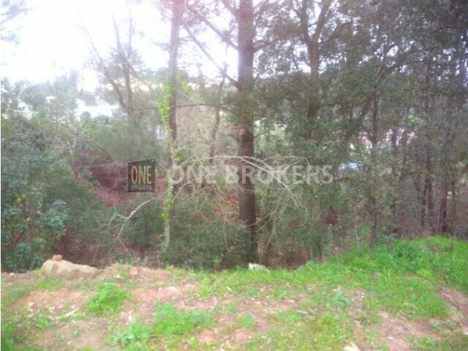 Terreno para Venda em Almargem do Bispo, Pêro Pinheiro e Montelavar Foto 3