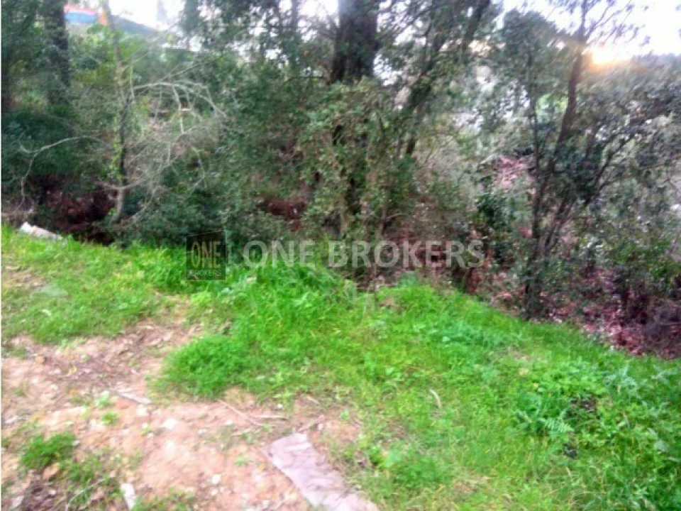 Terreno para Venda em Almargem do Bispo, Pêro Pinheiro e Montelavar Foto 9