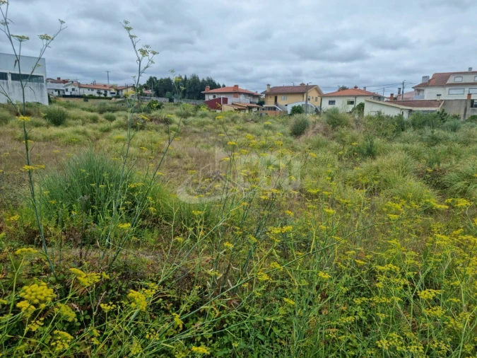 Terreno para Venda em Esmoriz Foto 3
