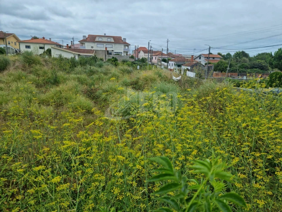 Terreno para Venda em Esmoriz Foto 2