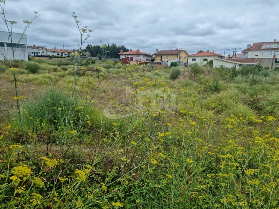 Terreno para Venda em Esmoriz Foto 3