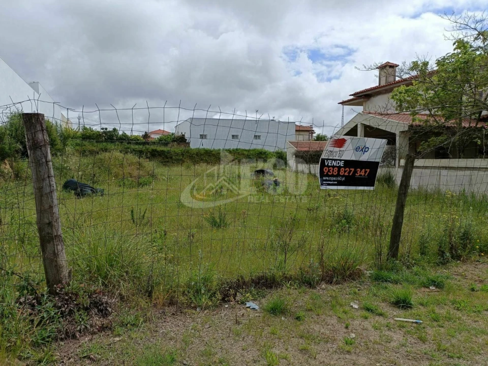 Terreno para Venda em São Paio de Oleiros Foto 4