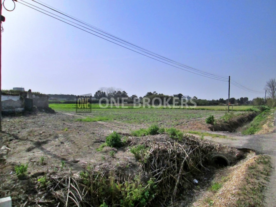 Terreno para Venda em Salvaterra de Magos e Foros de Salvaterra Foto 7