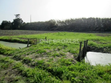Terreno para Venda em Salvaterra de Magos e Foros de Salvaterra