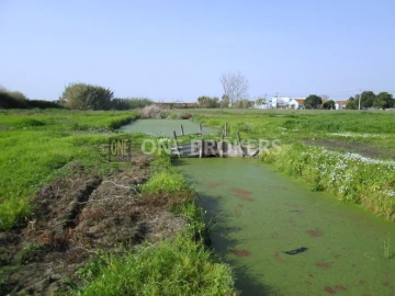 Terreno para Venda em Salvaterra de Magos e Foros de Salvaterra
