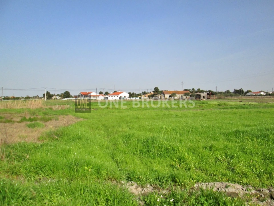 Terreno para Venda em Salvaterra de Magos e Foros de Salvaterra Foto 16