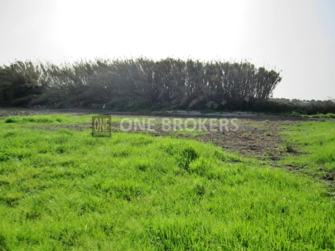 Terreno para Venda em Salvaterra de Magos e Foros de Salvaterra Foto 14
