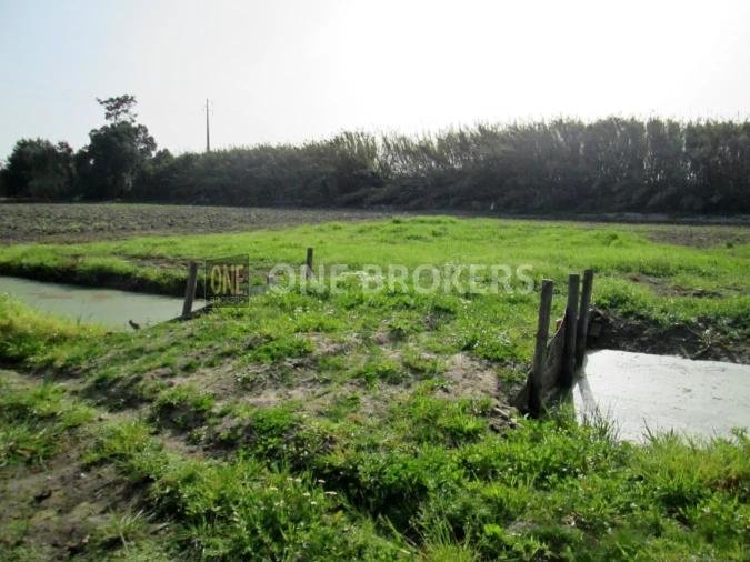 Terreno para Venda em Salvaterra de Magos e Foros de Salvaterra Foto 13