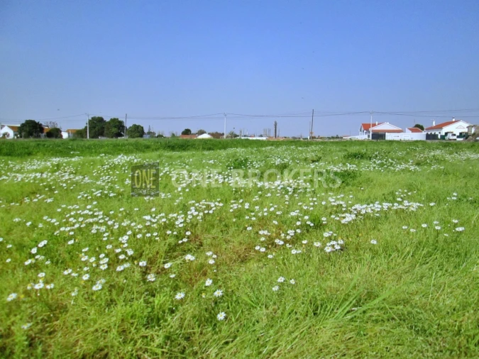 Terreno para Venda em Salvaterra de Magos e Foros de Salvaterra Foto 18
