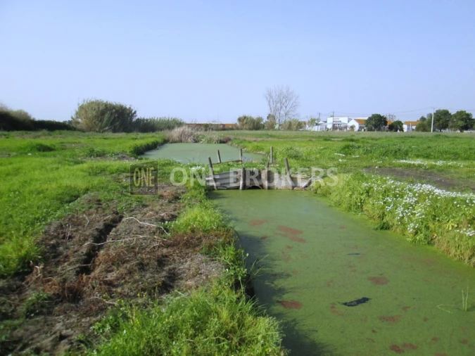 Terreno para Venda em Salvaterra de Magos e Foros de Salvaterra Foto 17