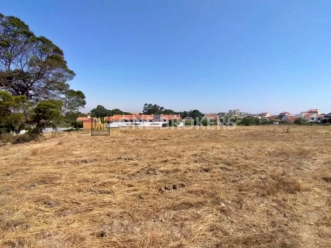 Terreno para Venda em Amora