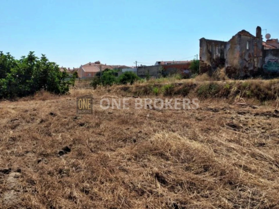Terreno para Venda em Amora Foto 3