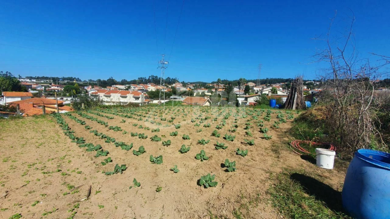 Terreno para Venda em Nogueira da Regedoura Foto 5