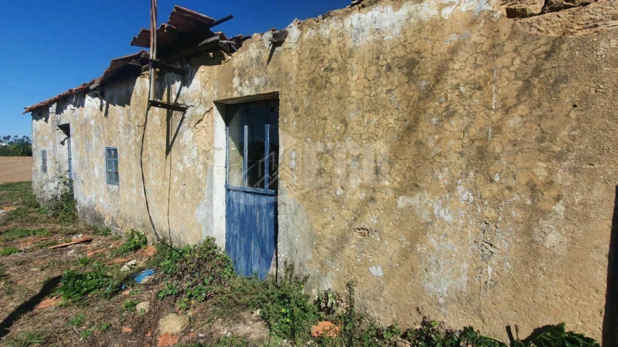 Terreno para Venda em Nogueira da Regedoura Foto 6